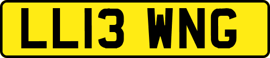 LL13WNG