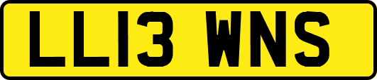 LL13WNS