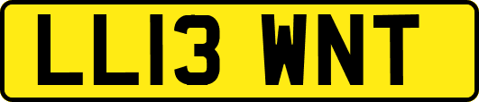 LL13WNT