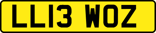 LL13WOZ