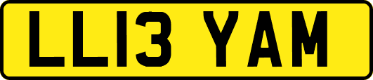LL13YAM