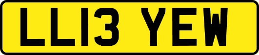 LL13YEW