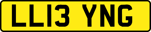 LL13YNG