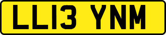 LL13YNM