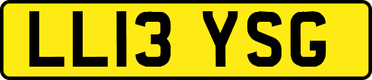 LL13YSG