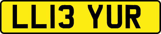 LL13YUR