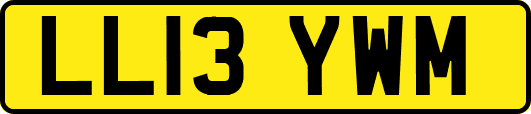 LL13YWM