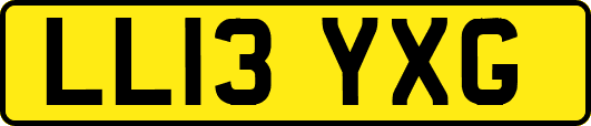 LL13YXG
