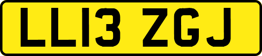 LL13ZGJ