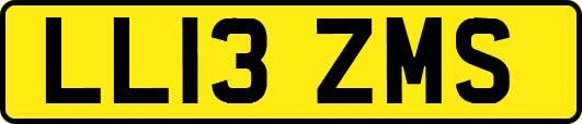 LL13ZMS