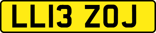 LL13ZOJ