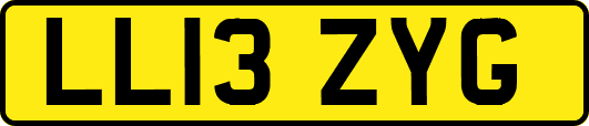 LL13ZYG