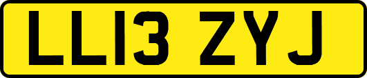 LL13ZYJ