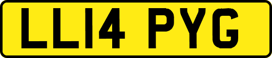 LL14PYG