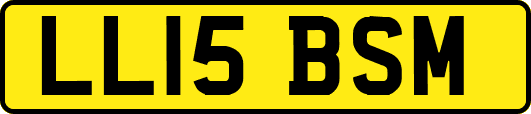 LL15BSM