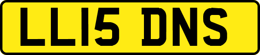 LL15DNS