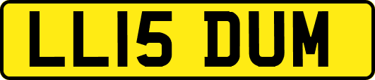 LL15DUM