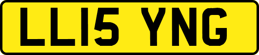 LL15YNG