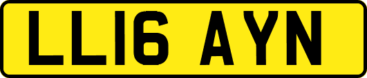 LL16AYN