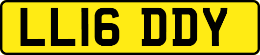 LL16DDY