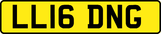 LL16DNG