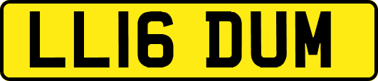 LL16DUM