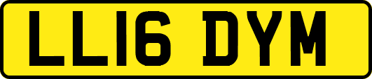 LL16DYM