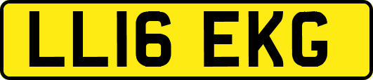 LL16EKG