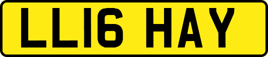 LL16HAY