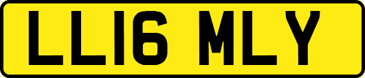 LL16MLY