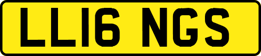 LL16NGS