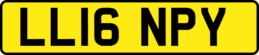 LL16NPY