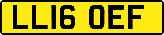 LL16OEF