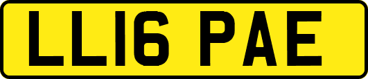 LL16PAE