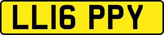 LL16PPY