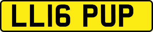 LL16PUP