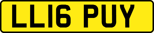 LL16PUY