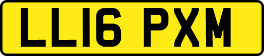 LL16PXM