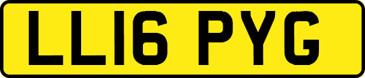 LL16PYG