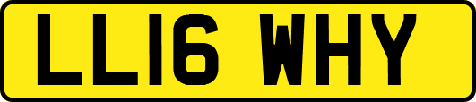 LL16WHY