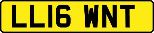 LL16WNT