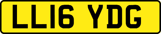 LL16YDG
