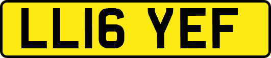 LL16YEF