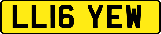 LL16YEW