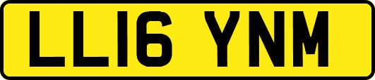 LL16YNM