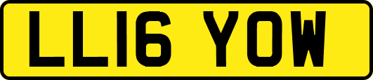 LL16YOW