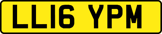 LL16YPM