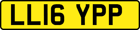 LL16YPP