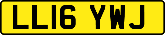 LL16YWJ