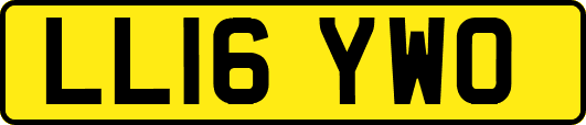 LL16YWO